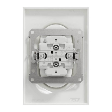 Schneider Odace Prise de courant 2P+T Double