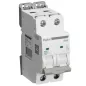 Disjoncteur Bipolaire 16A Courbe D Digital Electric Disjoncteur Bipolaire 16A Courbe D Digital Electric