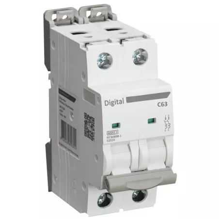 Disjoncteur Bipolaire 63A