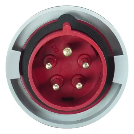 Fiche mâle 3P+N+T 16A - 380V - IP67