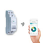 Module de Commande Interrupteur WiFi Module de Commande Interrupteur WiFi