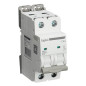 Disjoncteur Bipolaire 63A - 10KA Digital Electric Disjoncteur Bipolaire 63A - 10KA Digital Electric