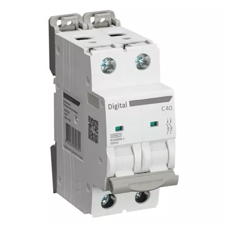 Disjoncteur Bipolaire 40A - 10KA