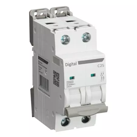 Disjoncteur Bipolaire 25A - 10KA