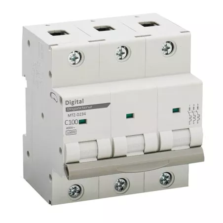 Disjoncteur Tripolaire 100A - 10KA
