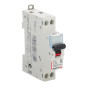 Disjoncteur Phase + Neutre 32A Legrand Disjoncteur Phase + Neutre 32A Legrand